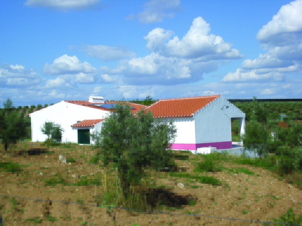 קמפו מאיור Horta Do Muro מראה חיצוני תמונה