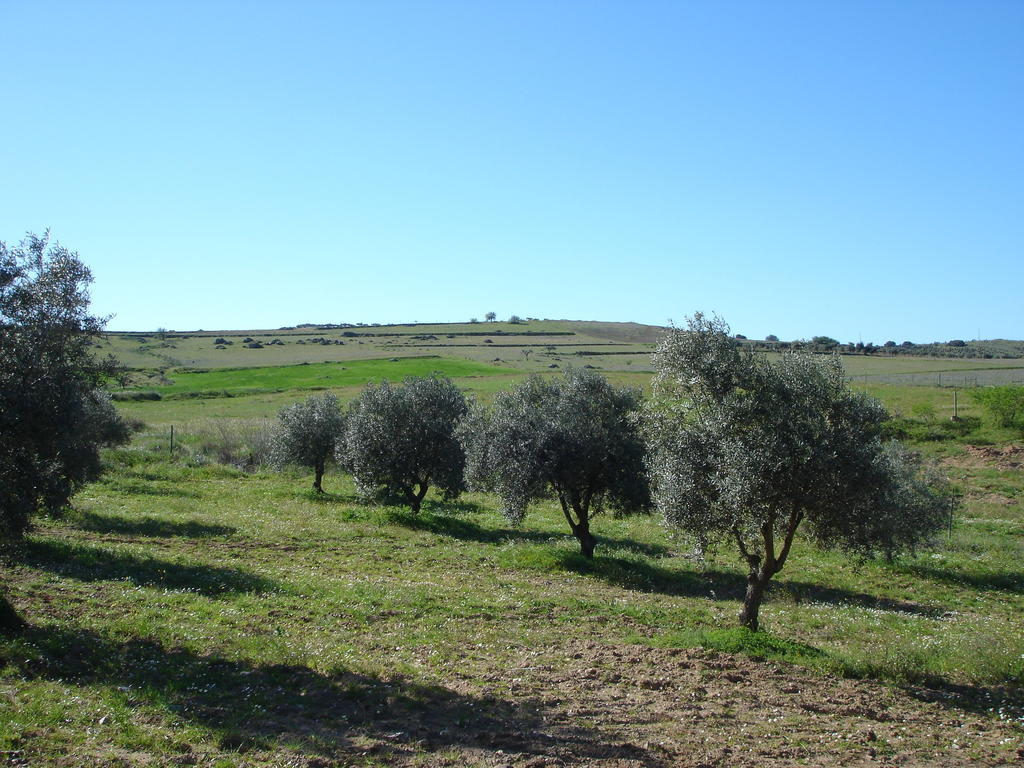 קמפו מאיור Horta Do Muro מראה חיצוני תמונה